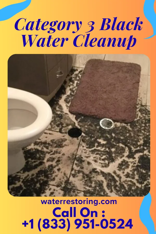 Category 3 Black Water Cleanup in Robards, KY