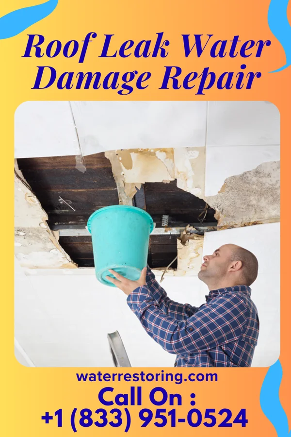 Roof Leak Water Damage Repair in Robards, KY